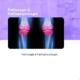 Produkttitelbild für Pathologie & Pathophysiologie
